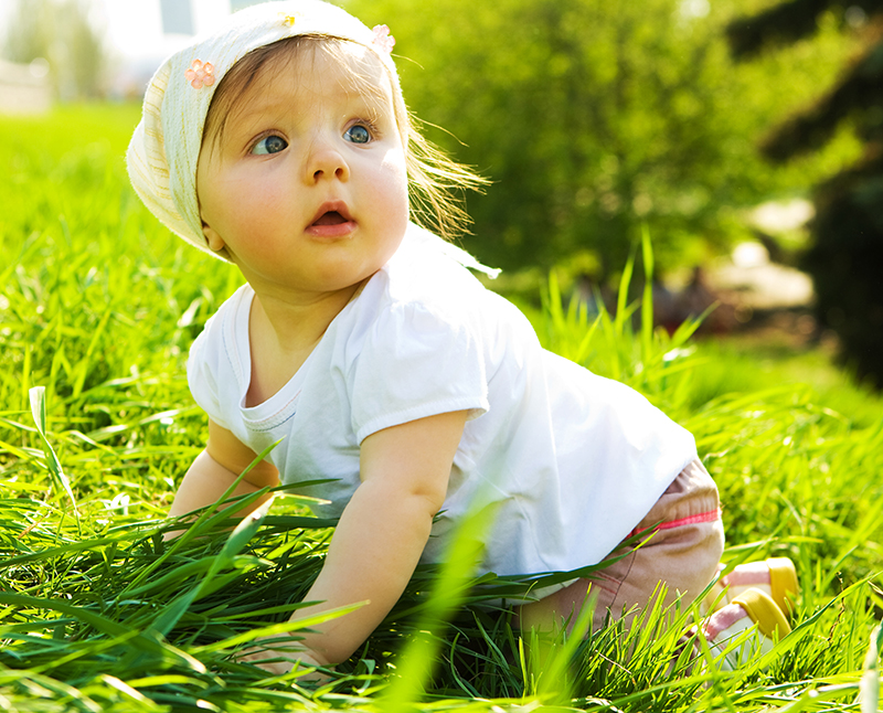 shutterstock_533M82532